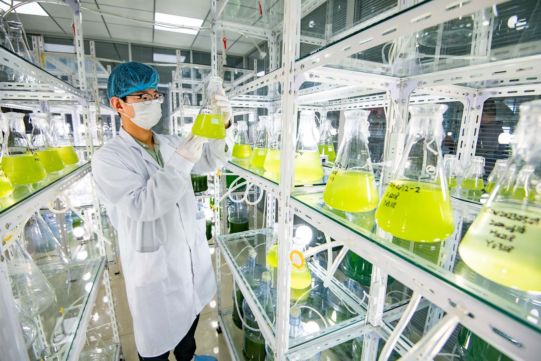 德州地福來生物科技 研發(fā)與推廣并重，微藻肥田十萬畝綠沃野